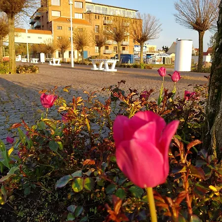 Sunshine Speicherresidenz Apartmán